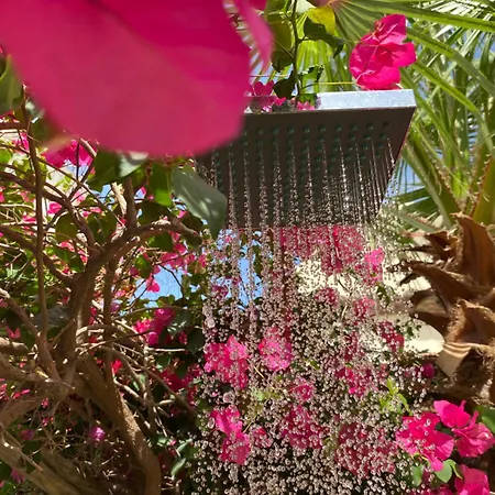 Lorca Nerja
