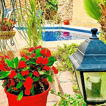 Boutique Lorca