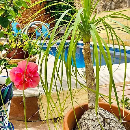 Boutique Lorca Vendégház Nerja
