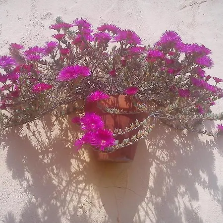 Boutique Lorca 2*